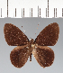  ( - CFCD02548)  @11 [ ] copyright (2022) Center For Collection-Based Research Center For Collection-Based Research