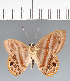 ( - CFCD02550)  @11 [ ] copyright (2022) Center For Collection-Based Research Center For Collection-Based Research