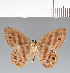  ( - CFCD02551)  @11 [ ] copyright (2022) Center For Collection-Based Research Center For Collection-Based Research