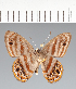  ( - CFCD02553)  @11 [ ] copyright (2022) Center For Collection-Based Research Center For Collection-Based Research