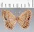  ( - CFCD02554)  @11 [ ] copyright (2022) Center For Collection-Based Research Center For Collection-Based Research