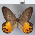  ( - CFCD00290)  @11 [ ] Copyright (2018) Christer Fahraeus Center For Collection-Based Research