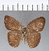  ( - CFCD00329)  @11 [ ] Copyright (2018) Christer Fahraeus Center For Collection-Based Research