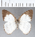 ( - CFCD00334)  @13 [ ] Copyright (2018) Christer Fahraeus Center For Collection-Based Research