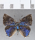  ( - CFCD00360)  @11 [ ] Copyright (2018) Christer Fahraeus Center For Collection-Based Research