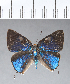  ( - CFCD00365)  @11 [ ] Copyright (2018) Christer Fahraeus Center For Collection-Based Research