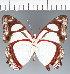  ( - CFCD03766)  @11 [ ] copyright (2023) Center For Collection-Based Research Center For Collection-Based Research