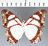 ( - CFCD03767)  @11 [ ] copyright (2023) Center For Collection-Based Research Center For Collection-Based Research