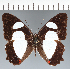  ( - CFCD03768)  @11 [ ] copyright (2023) Center For Collection-Based Research Center For Collection-Based Research