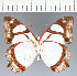  ( - CFCD03770)  @11 [ ] copyright (2023) Center For Collection-Based Research Center For Collection-Based Research