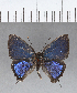  ( - CFCD00383)  @11 [ ] Copyright (2018) Christer Fahraeus Center For Collection-Based Research