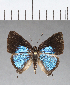  ( - CFCD00387)  @11 [ ] Copyright (2018) Christer Fahraeus Center For Collection-Based Research
