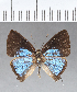  ( - CFCD00388)  @11 [ ] Copyright (2018) Christer Fahraeus Center For Collection-Based Research