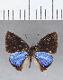  ( - CFCD00390)  @11 [ ] Copyright (2018) Christer Fahraeus Center For Collection-Based Research