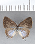  ( - CFCD00391)  @11 [ ] Copyright (2018) Christer Fahraeus Center For Collection-Based Research