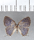  ( - CFCD00392)  @11 [ ] Copyright (2018) Christer Fahraeus Center For Collection-Based Research