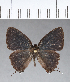  ( - CFCD00397)  @11 [ ] Copyright (2018) Christer Fahraeus Center For Collection-Based Research