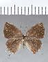  ( - CFCD00399)  @11 [ ] Copyright (2018) Christer Fahraeus Center For Collection-Based Research