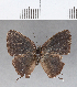  ( - CFCD00400)  @11 [ ] Copyright (2018) Christer Fahraeus Center For Collection-Based Research
