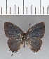  ( - CFCD00401)  @11 [ ] Copyright (2018) Christer Fahraeus Center For Collection-Based Research