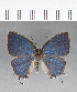  ( - CFCD00402)  @11 [ ] Copyright (2018) Christer Fahraeus Center For Collection-Based Research