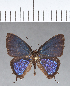  ( - CFCD00403)  @11 [ ] Copyright (2018) Christer Fahraeus Center For Collection-Based Research