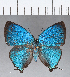  ( - CFCD00404)  @11 [ ] Copyright (2018) Christer Fahraeus Center For Collection-Based Research