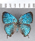  ( - CFCD00405)  @11 [ ] Copyright (2018) Christer Fahraeus Center For Collection-Based Research