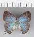  ( - CFCD00406)  @11 [ ] Copyright (2018) Christer Fahraeus Center For Collection-Based Research