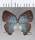  ( - CFCD00434)  @11 [ ] Copyright (2018) Christer Fahraeus Center For Collection-Based Research