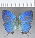  ( - CFCD00448)  @11 [ ] Copyright (2018) Christer Fahraeus Center For Collection-Based Research
