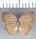  ( - CFCD00451)  @11 [ ] Copyright (2018) Christer Fahraeus Center For Collection-Based Research