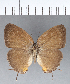  ( - CFCD00452)  @11 [ ] Copyright (2018) Christer Fahraeus Center For Collection-Based Research