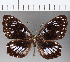  ( - CFCD00475)  @11 [ ] Copyright (2018) Christer Fahraeus Center For Collection-Based Research