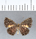 ( - CFCD00049)  @11 [ ] Copyright (2018) Christer Fahraeus Center For Collection-Based Research