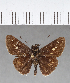  ( - CFCD00542)  @11 [ ] Copyright (2018) Christer Fahraeus Center For Collection-Based Research