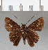  ( - CFCD00580)  @13 [ ] Copyright (2018) Christer Fahraeus Center For Collection-Based Research