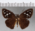  ( - CFCD00606)  @11 [ ] Copyright (2018) Christer Fahraeus Center For Collection-Based Research