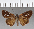  ( - CFCD00609)  @11 [ ] Copyright (2018) Christer Fahraeus Center For Collection-Based Research