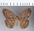  ( - CFCD00062)  @13 [ ] Copyright (2018) Christer Fahraeus Center For Collection-Based Research