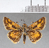  ( - CFCD00626)  @11 [ ] Copyright (2018) Christer Fahraeus Center For Collection-Based Research