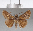  ( - CFCD00635)  @13 [ ] Copyright (2018) Christer Fahraeus Center For Collection-Based Research