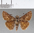  ( - CFCD00636)  @13 [ ] Copyright (2018) Christer Fahraeus Center For Collection-Based Research