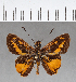  ( - CFCD00642)  @13 [ ] Copyright (2018) Christer Fahraeus Center For Collection-Based Research