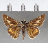  ( - CFCD00643)  @11 [ ] Copyright (2018) Christer Fahraeus Center For Collection-Based Research