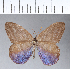  ( - CFCD00066)  @11 [ ] Copyright (2018) Christer Fahraeus Center For Collection-Based Research
