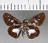  ( - CFCD00662)  @11 [ ] Copyright (2018) Christer Fahraeus Center For Collection-Based Research