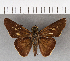  ( - CFCD00670)  @11 [ ] Copyright (2018) Christer Fahraeus Center For Collection-Based Research