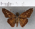  ( - CFCD00671)  @11 [ ] Copyright (2018) Christer Fahraeus Center For Collection-Based Research
