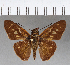  ( - CFCD00678)  @11 [ ] Copyright (2018) Christer Fahraeus Center For Collection-Based Research